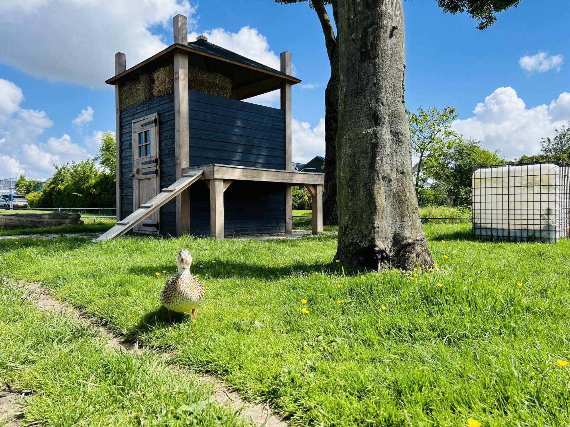 Bungalowpark De Horn - Floresta 215 Dirkshorn Екстер'єр фото